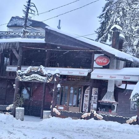 The Green King Borovets Bagian luar foto