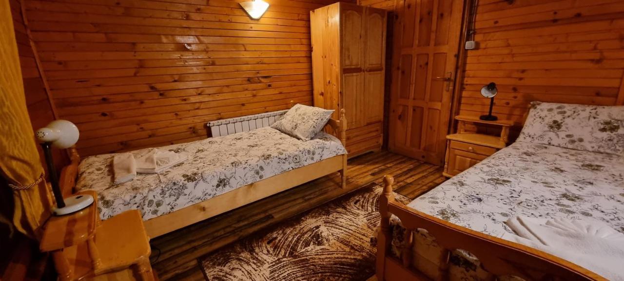 The Green King Borovets Bagian luar foto