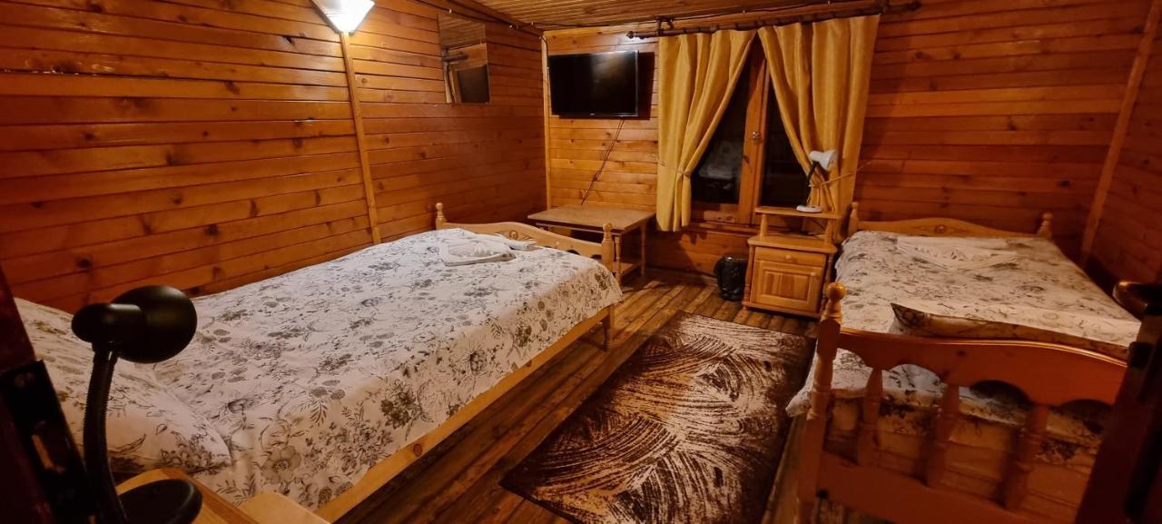 The Green King Borovets Bagian luar foto